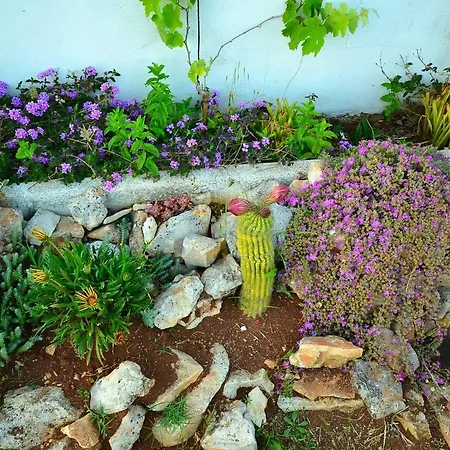 بيت للعطل Trullo Betta