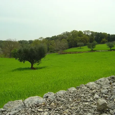 بيت للعطل Trullo Betta